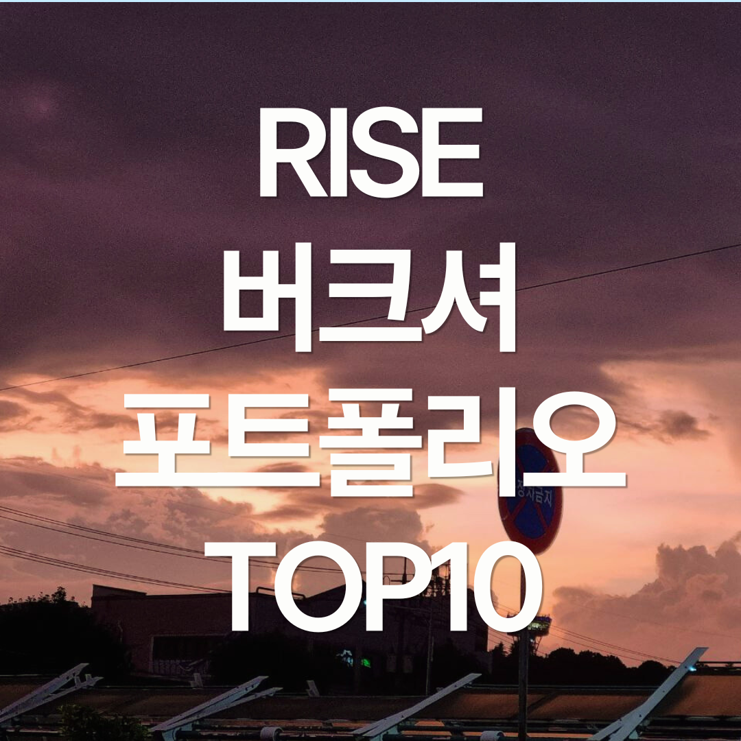 RISE 버크셔포트폴리오TOP10, 나스닥과 궁합은?