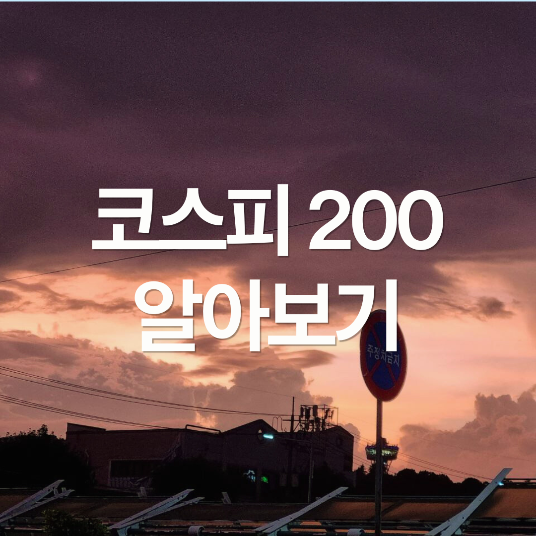 코스피 200은 투자하기 좋은 지수인가?