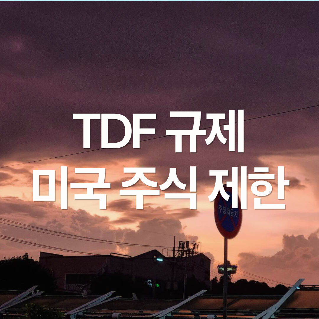 IRP에서 TDF 투자하는 분들은 확인! TDF '미국 쏠림' 막는다…특정 국가 비중 80%로 제한