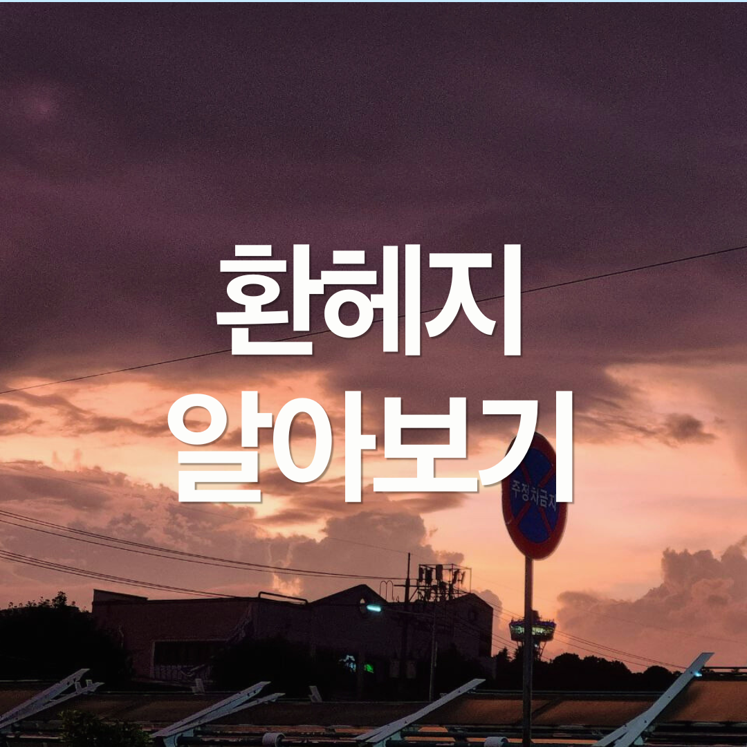 ETF 환헤지 (H) 알아보기