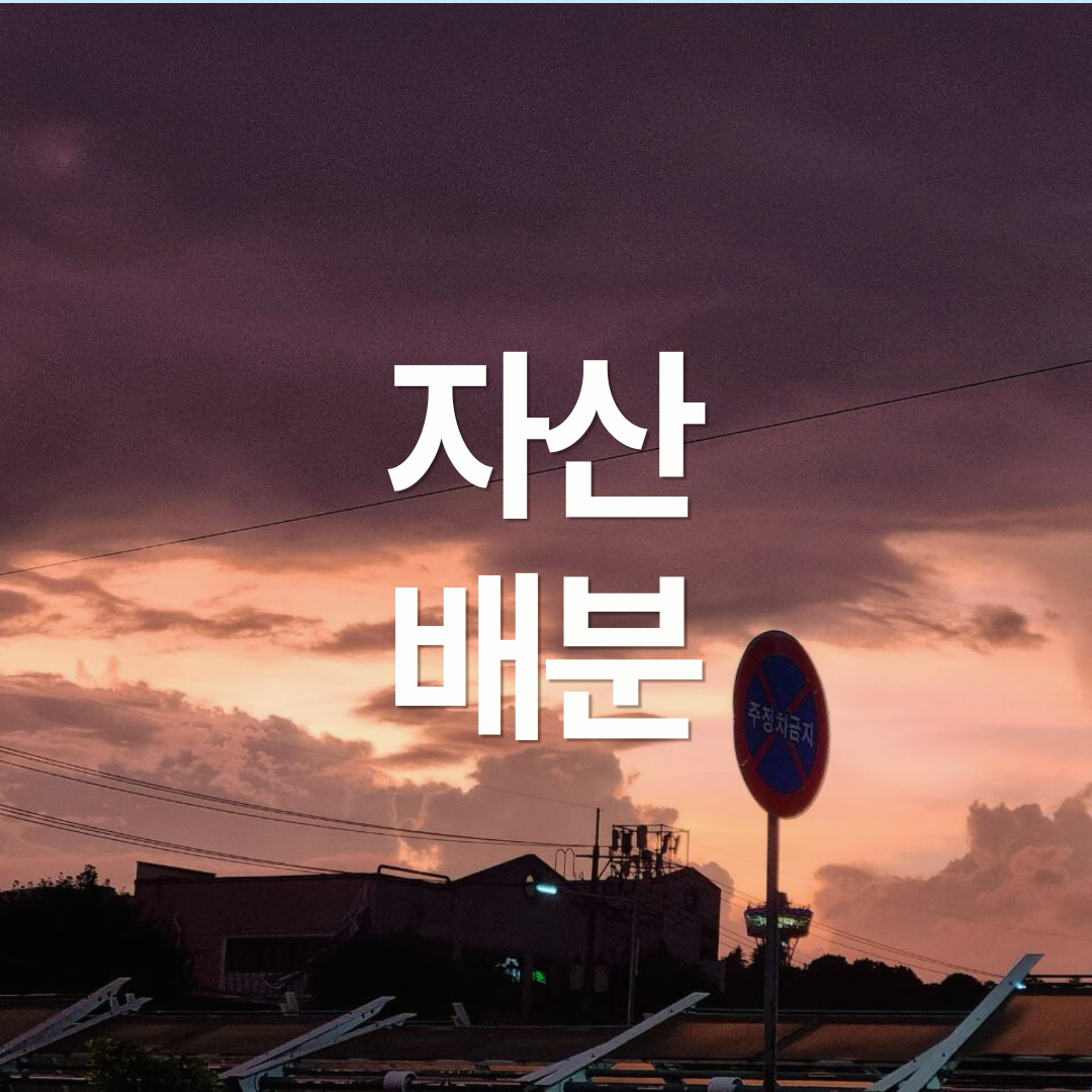 자산 배분의 종류