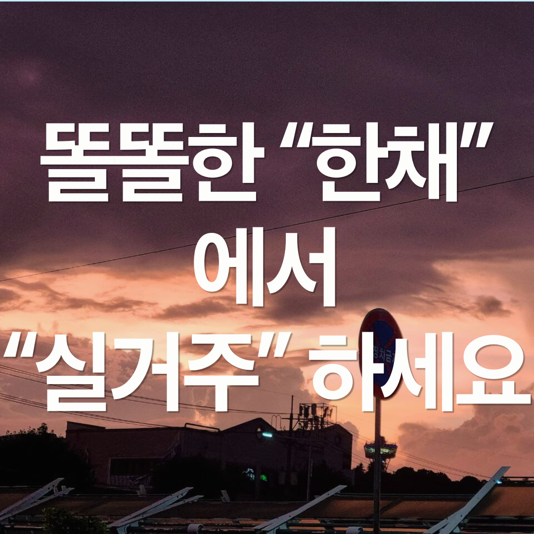 9월 7일 부동산 대책 : 똘똘한 한채에서 실거주 해라