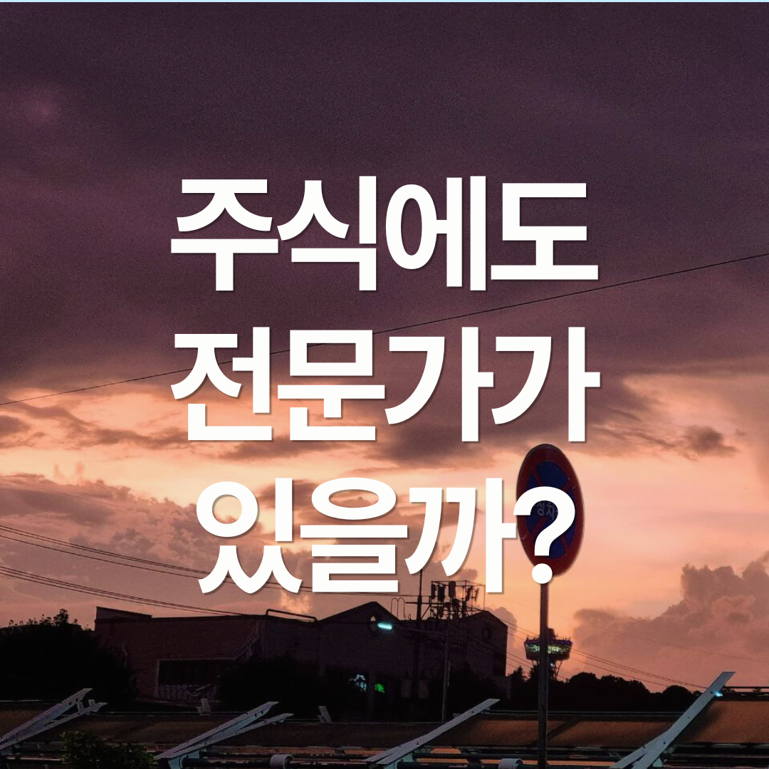 주식에도 전문가가 있을까?