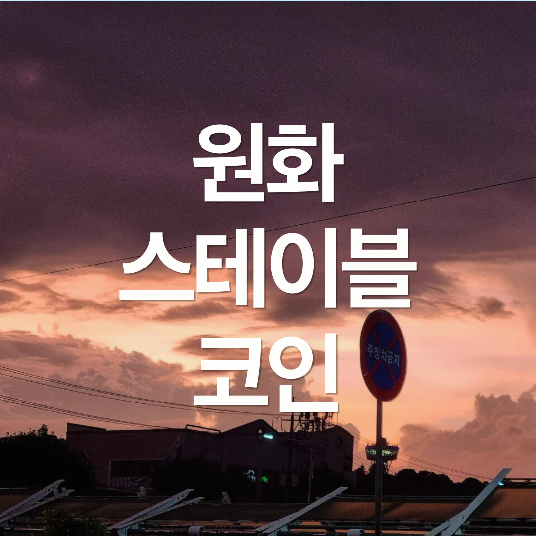 원화 스테이블코인, 만들면 누가 쓰지?