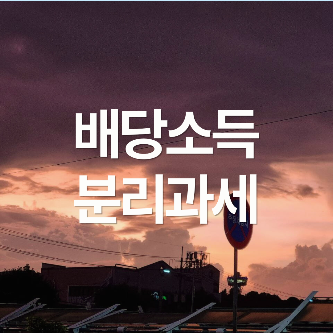 배당소득 분리과세, 세율은 몇 %가 적당한가