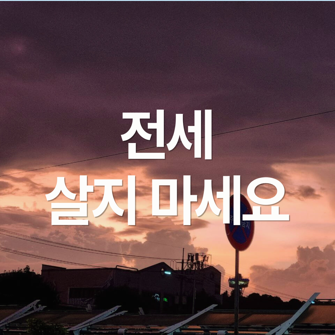 세상에서 가장 불리한 '숏 베팅', 당신은 전세에 살고 있습니다