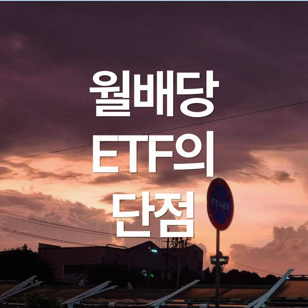 월배당 ETF의 단점