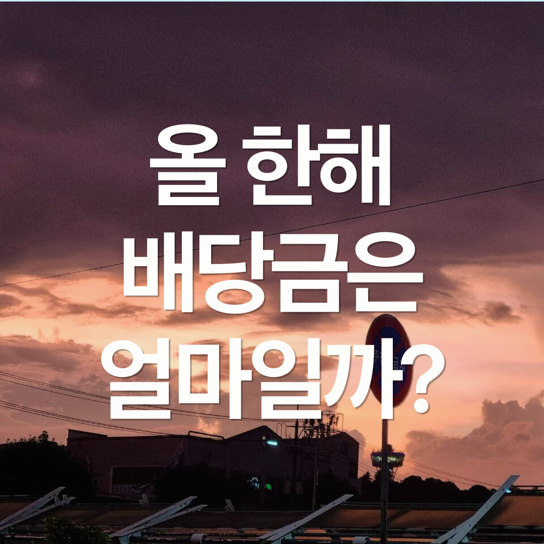 내가 올해 받은 배당은 얼마일까? 미래에셋 배당 플래너