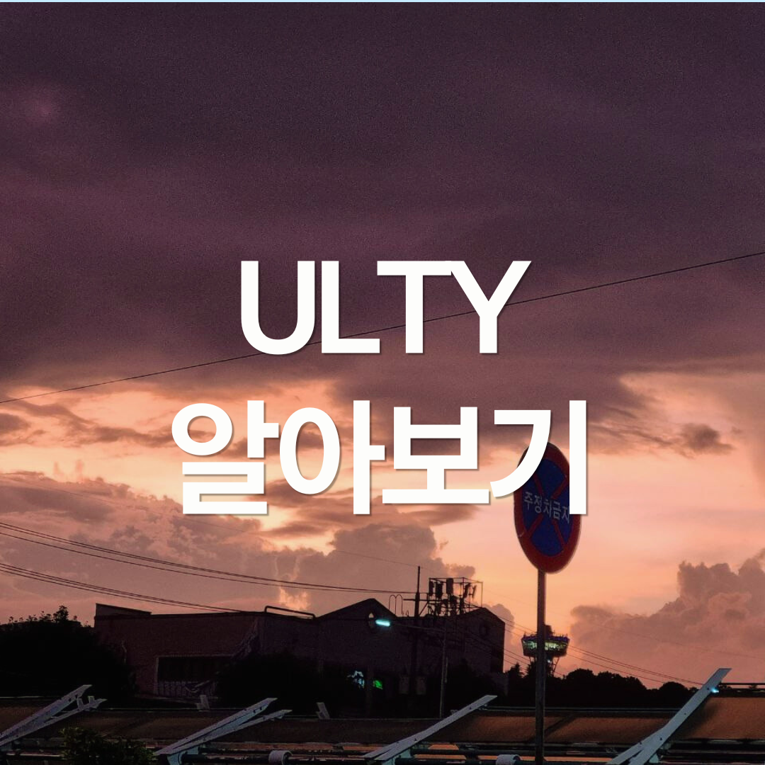 123% 초고배당 주배당 ETF, ULTY 알아보기