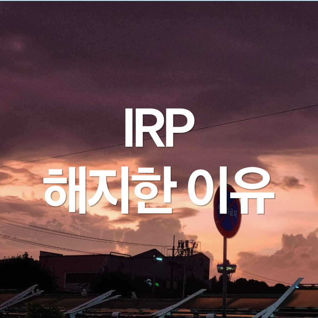 내가 IRP를 해지한 이유