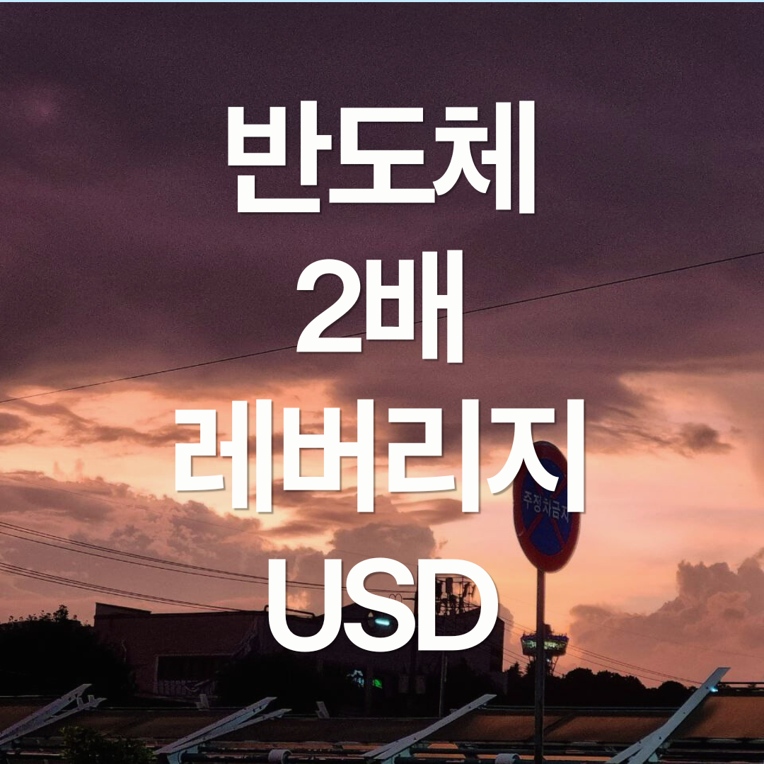 반도체 2배 레버리지 ETF: USD