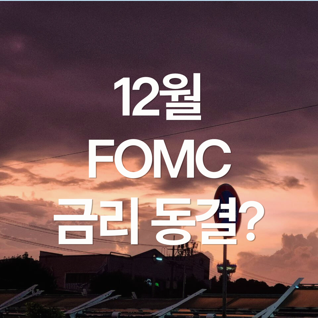 주식 폭락의 이유 : 12월 FOMC 금리 인하 확률 급락