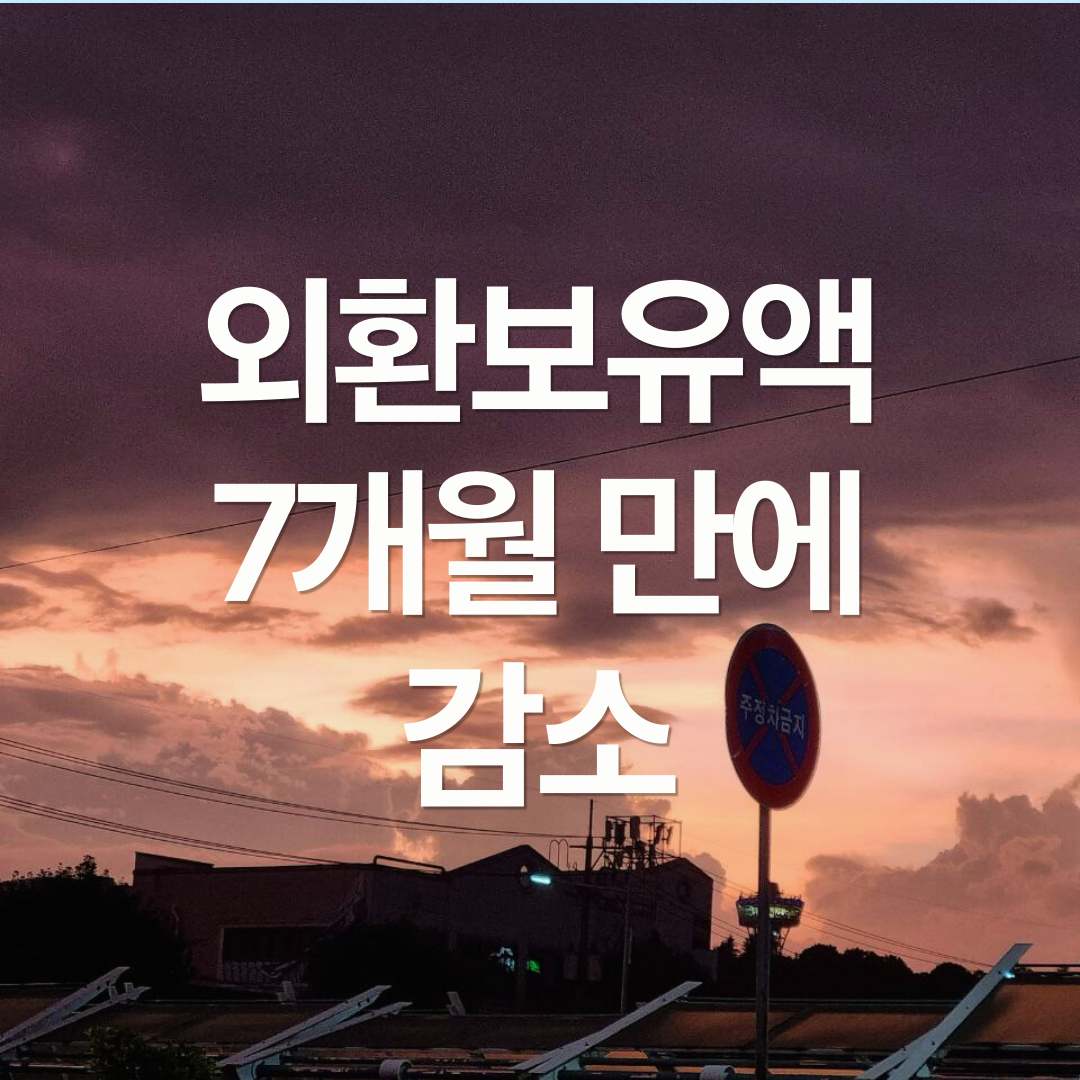 환율 급락은 역시 정부 개입? 외환보유액 감소