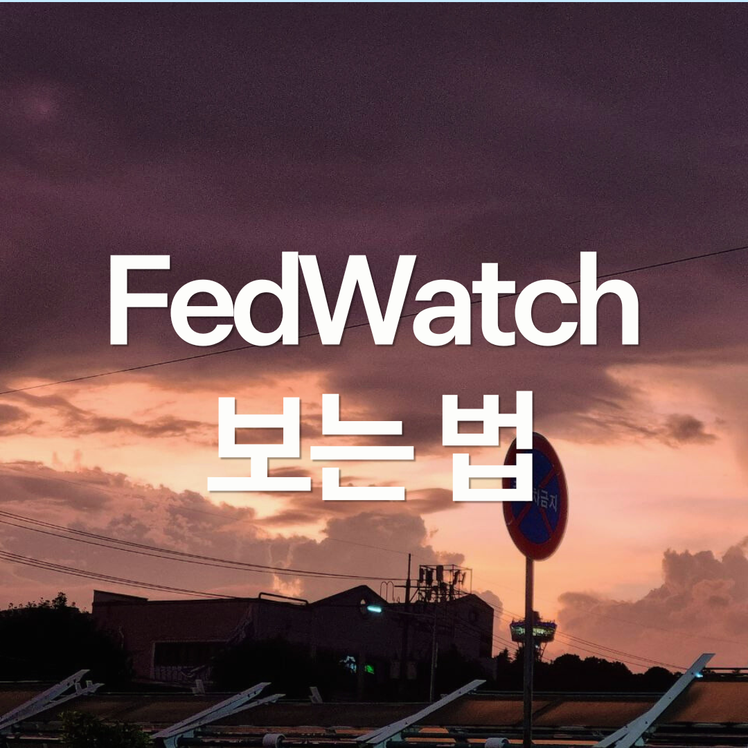 FedWatch 보는 법: 금리 인하 확률 70%, '투표'가 아닙니다
