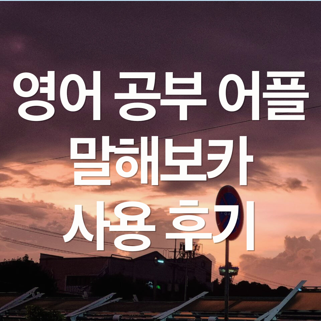 영어 공부 어플 말해보카 1년 사용 후기 (내돈내산, 광고 X)