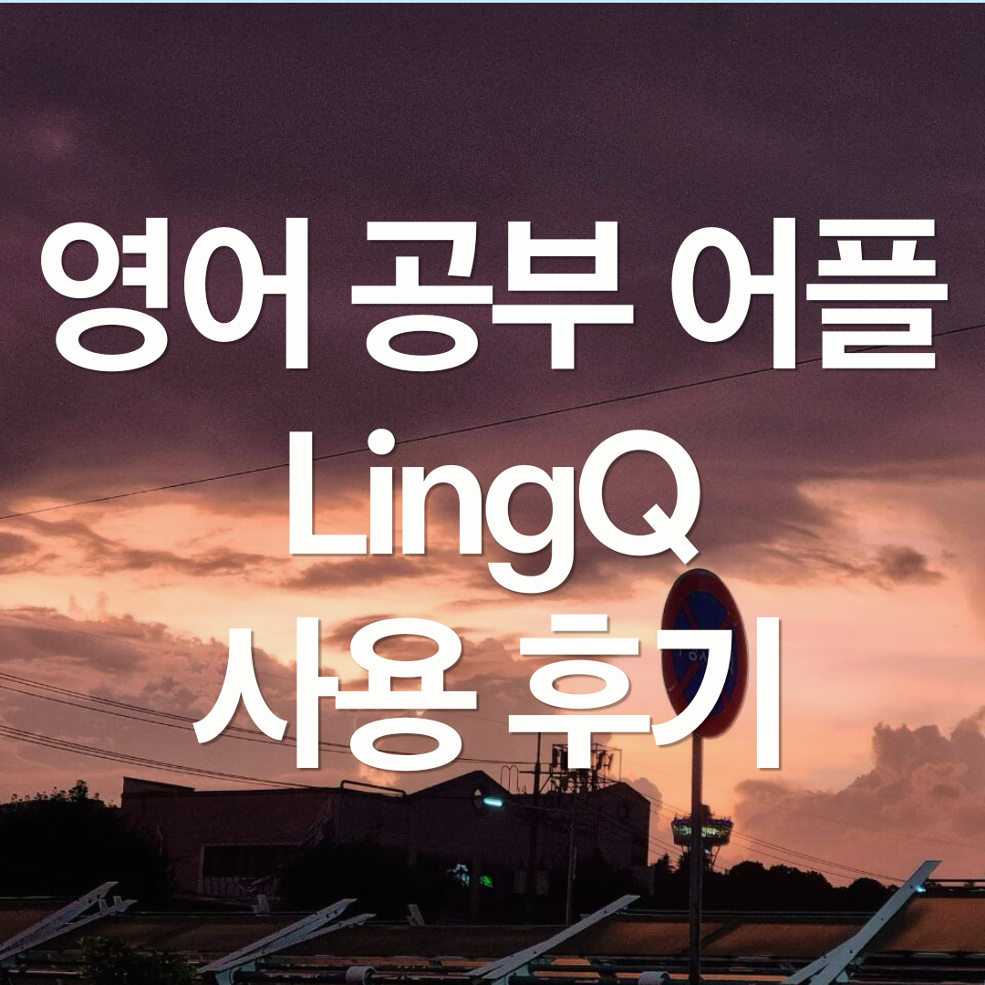 영어 공부 앱 리뷰 : LingQ
