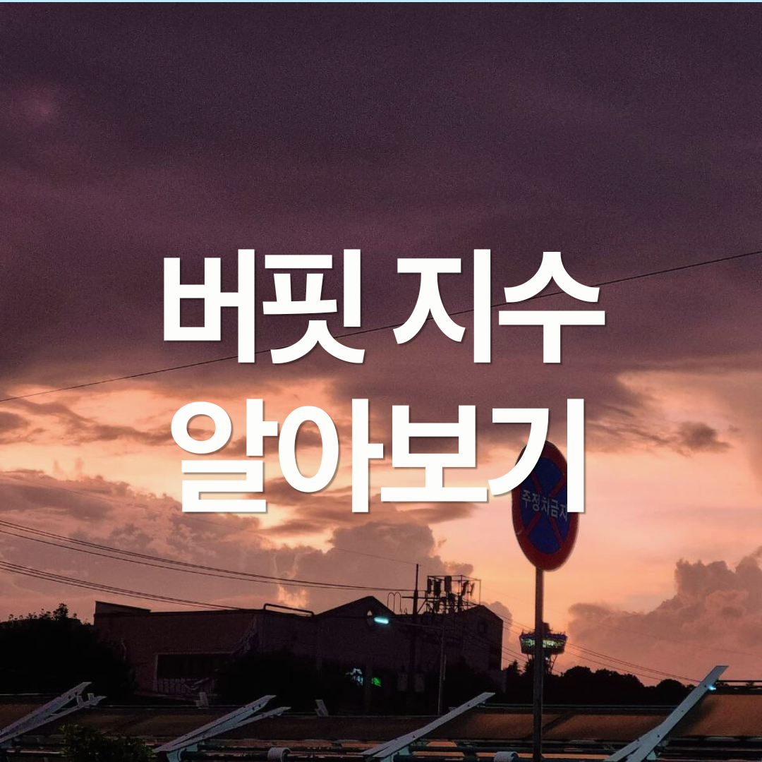한국 증시 과열? 버핏 지수 알아보기