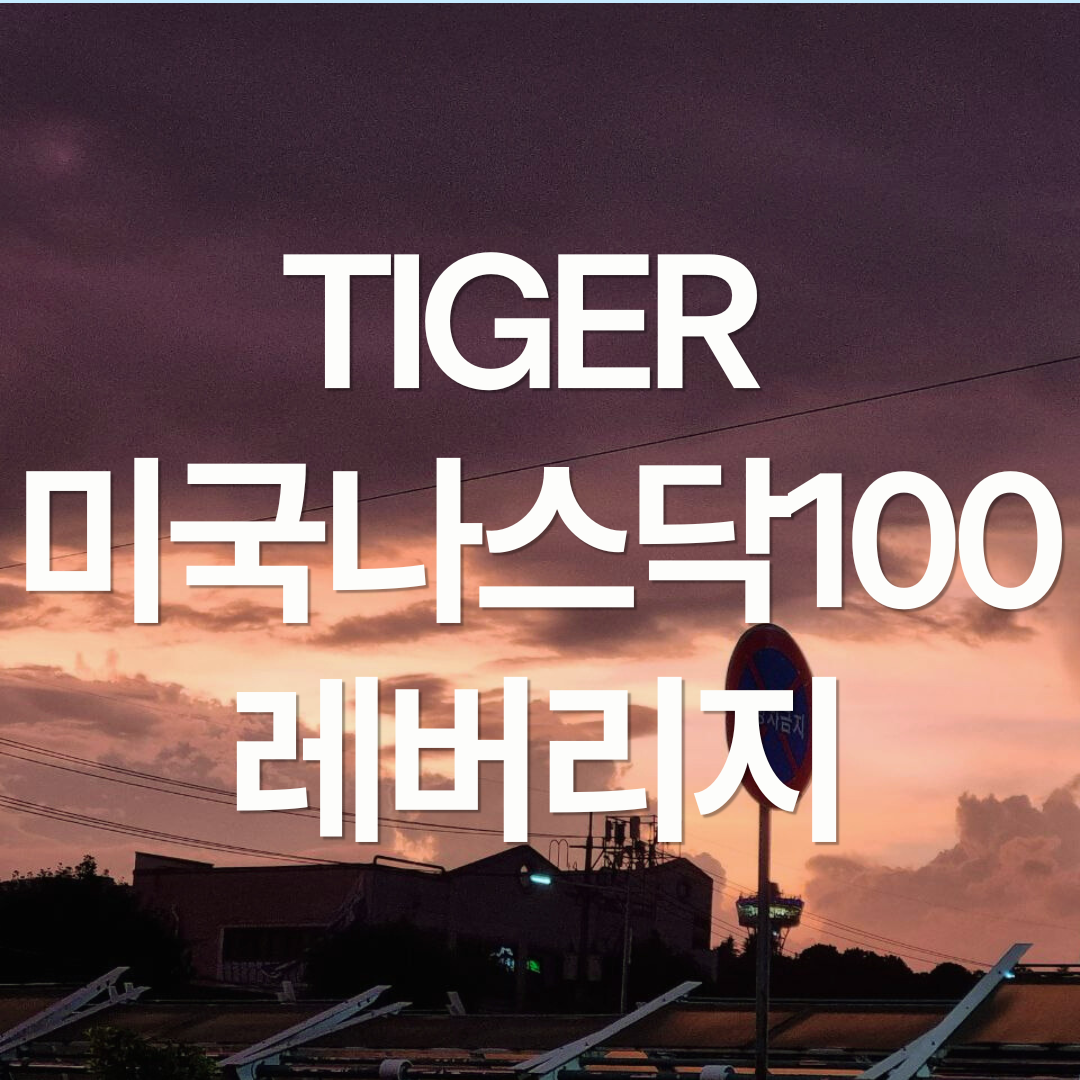TIGER 미국나스닥100레버리지(합성) : ISA 계좌에서 투자